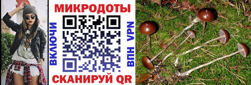 Купить  Инта  Псилоцибиновые грибы GOLDEN TEACHER 